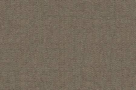 50 - light brown