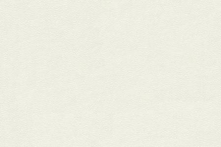 43 - cream white
