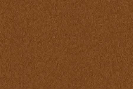 55 - cognac