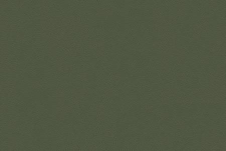 34 - moss green