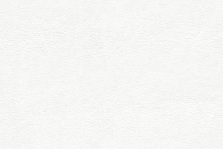 42 - white