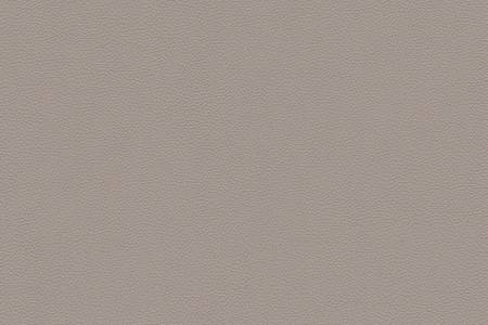 49 - taupe