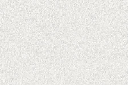 42 - white