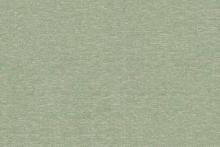 32 - light green