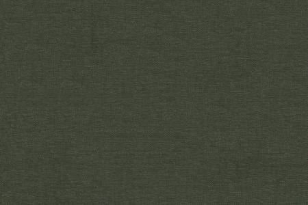 39 - moss green