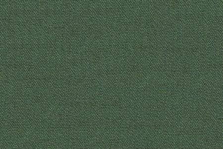 39 - moss green