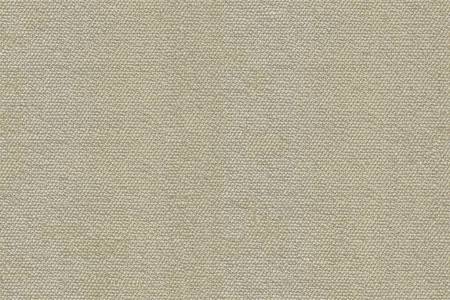 43 - cream